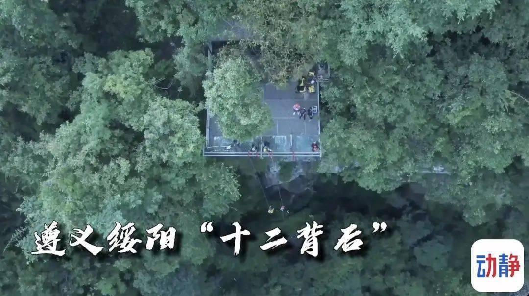 同样是绑架咬布“尬戏”，鞠婧祎被骂，张一山为何只是演技退步？
